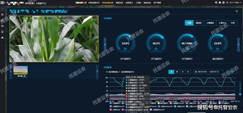 CF转换器官方下载，深度应用策略数据_影像版_v3.819，新手友好指南