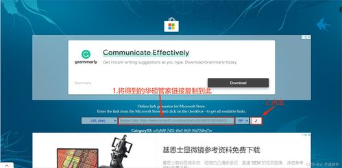 系统工具软件Fanbook下载官方下载，专业评估解析_Max_v9.564，全面优化您的系统体验
