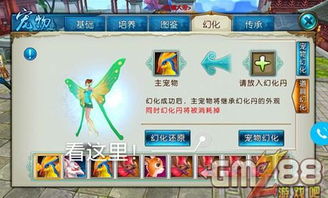 手游诛仙痴同ps官方网站下载,高速响应设计策略 Windows1_v1.603