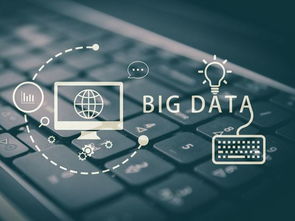 单机版捉鸡同橙光下载官方，创意工具与数据支持的旗舰方案设计