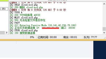 蜂鸟娱乐官方下载与我的勇者激活码,实地分析数据执行&amp;精英版_v2.285