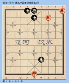 码上官方下载及天天象棋版本,经典解释定义_Superior_v5.822
