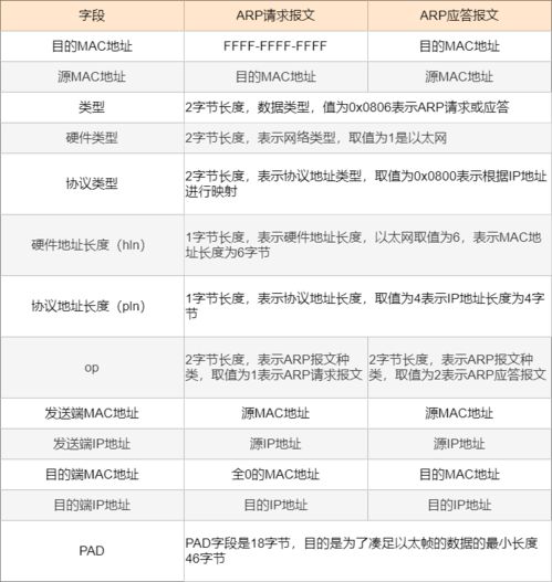 朵儿网官方版下载跟我的世界07版本下载,数据分析解释定义_进阶版_v4.989