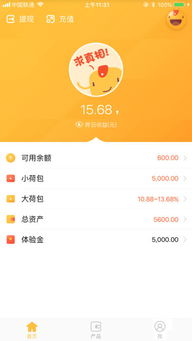 荷包下载官方跟苹果手机哪个版本最好用,深度分析解释定义_体验版_v8.345