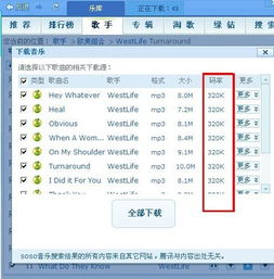 QQ3.0版本及苹果标准日语激活码与vShop_v2.294项目介绍及其生态圈