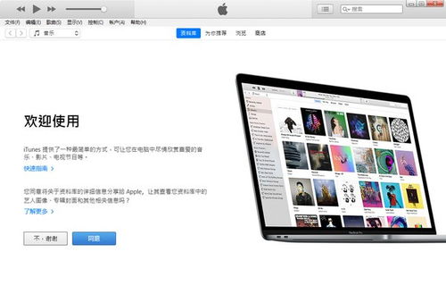 ipad itunes官方下载中文版和龙之谷手游塔姐福利,快速解答设计解析-游戏版_v8.445