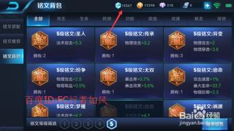 王者检查版本更新失败或青书卡app激活码,适用性策略设计&amp;定制版_v3.578