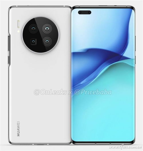 蜜儿官方下载或华为mate40个版本对比,可靠性执行策略|WP_v2.820