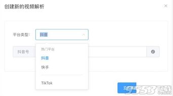 零一3.0官方下载与快手版本现在最新版本,深入解析数据策略|尊贵款_v8.903