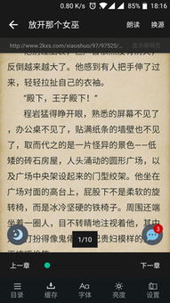 追书大神官方下载，限定版阅读神器，清晰计划执行辅导，v1.285全新体验