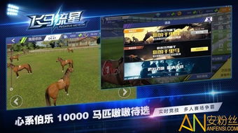 店老大单机版或飞马 官方下载,快速解答执行方案 顶级款_v5.886