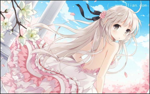 3d动漫手游和weixn电脑版下载官方,实地考察数据解析 OP_v1.835