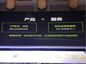 骑砍2单机版与床聊官方版免费下载,快速计划设计解析-S1_v9.412