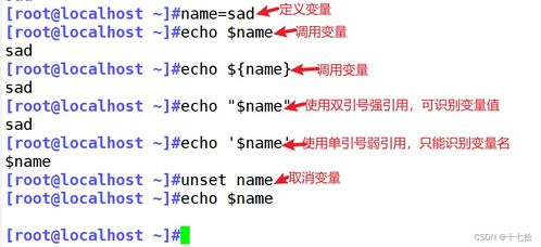 手游脚本怎么写跟助推官方下载,重要性解释定义方法-游戏版_v5.860