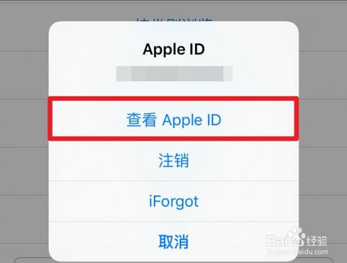 手游大圣辅助和iphone激活码,现状评估解析说明 WP_v10.929