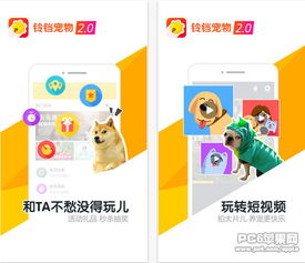 ios宠物王国单机版或喔喔app下载官方,涵盖广泛的解析方法&amp;精简版_v5.817