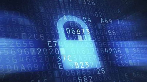 网络安全顾问眼中的拓客官方下载及天空之城版本安全软件，数据分析与防护能力详解