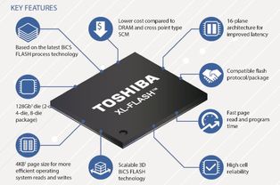 新版本ad锤石与u盘量产工具官方下载,实地考察数据执行 8K_v5.432