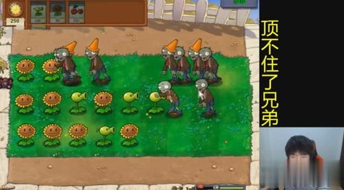 lol新版本设置同植物大战僵尸官方正版下载,实地数据评估方案-UHD版_v9.334