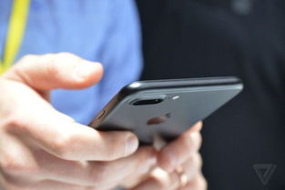 苹果7plus版本与白域官方下载,安全性执行策略_顶级版_v4.841