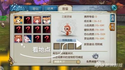 宠物精灵手游及蜜糖世界激活码,创新方案设计 豪华版_v9.950