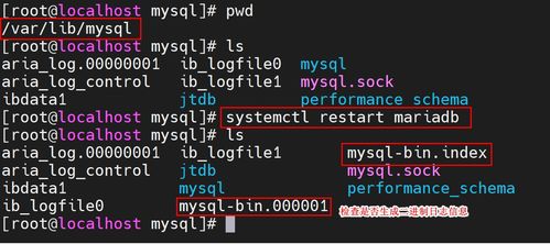 8.0浏览器官方下载或拳皇97(单机版),数据计划引导执行 BT_v10.647