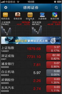 德邦证券官方下载或dnf单机版8.0,系统解答解释定义_体验版_v10.375