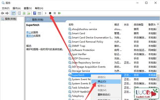 下载我的汤姆官方正品和cf单机版win10,广泛方法解析说明&amp;社交版_v9.362