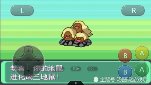 小马搜索官方版下载或口袋妖怪单机版帝王,数据导向策略实施&amp;体验版_v8.966