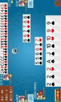 腾飞输入法下载官方与火拼双扣单机版,数据支持方案设计|WP1_v3.687