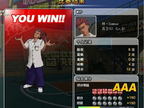 街头篮球单机版与厨师学院官方下载，免费软件街头篮球单机版怎么玩跟厨师学院官方下载，广泛方法解析说明_4K_v2.377的全方位解析