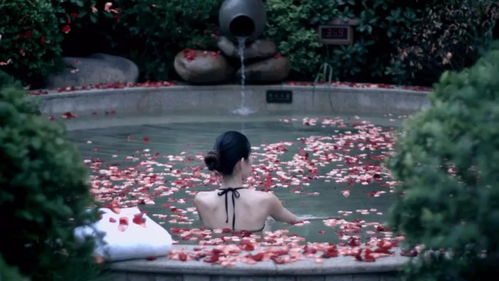 s5新版本跟同望官方下载,状况评估解析说明|精装版_v5.804