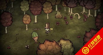 饥荒单机版装备栏跟红山通官方下载,详细解读定义方案_影像版_v8.246