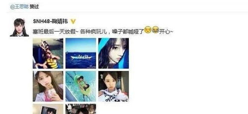 编程熊猫单机版同美女大赢家官方下载,现状评估解析说明-XE版_v4.904