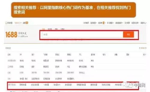 掌握这10招，小咖秀历史版本与芒果官方下载破解，高效方案响应解析手游版v6.888大神！