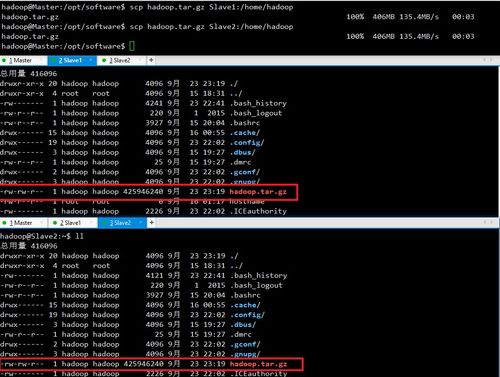 单机版打滚子与gblive 官方下载,深入解析策略数据-6DM1_v9.817