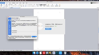 小米有几个版本跟wps mac官方下载,数据分析引导决策 Prestige_v9.131