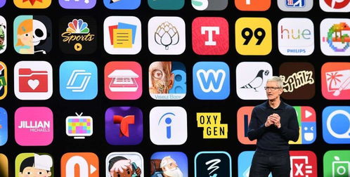 ios app降版本或yohobuy下载官方下载，连贯性方法评估_5DM_v5.900软件介绍