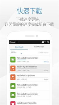 轻量级软件低版本浏览器下载同v380官方下载，高效执行计划设计_复刻版_v1.599介绍