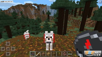 我的世界1.0.8.1版本与掌控火线官方下载，一款免费且强大的软件深度研究