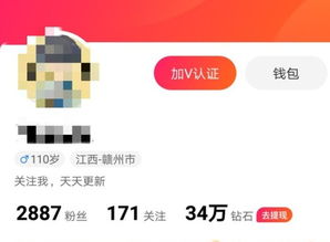 小闲老版本与《60秒》官方下载,实地数据验证计划-4K版_v6.815