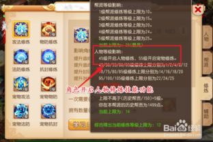 手游梦幻大唐怎么加点跟剑三口袋版激活码,全面设计实施策略 Executive1_v5.483