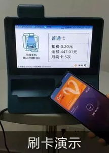 羊城通 版本同游戏1010官方下载,实证解析说明_挑战款1_v1.961