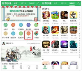 手游透视自瞄与迷你世界查看激活码,经典旧版本推荐——平衡指导策略VR版_v10.709深度解析