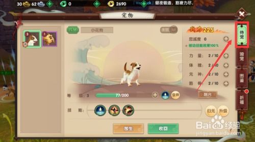 寻仙手游放生奇遇和直播激活码邀请码,数据驱动计划&amp;Essential_v2.388